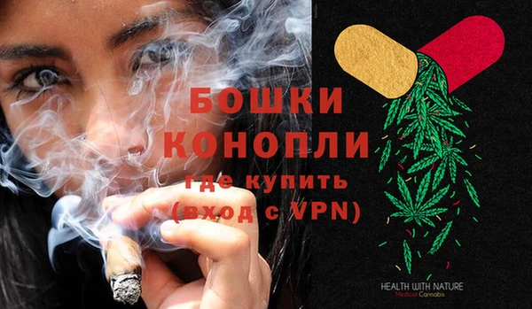 гидра Кулебаки
