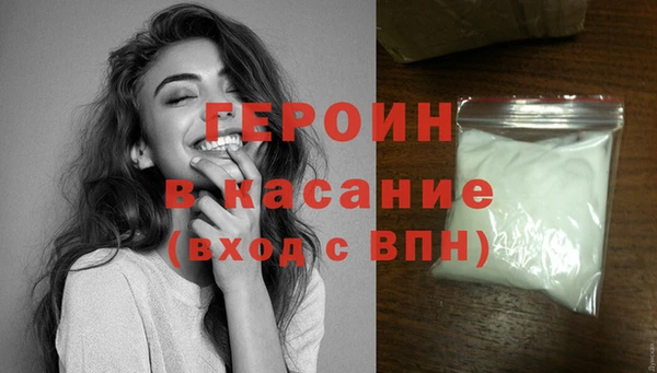 стаф Дубна