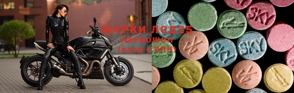спиды Кодинск