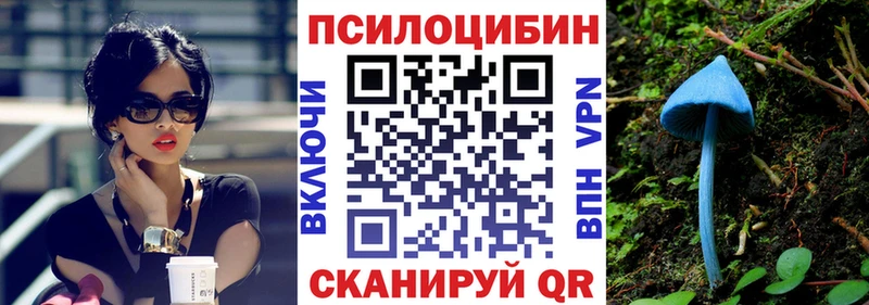 Псилоцибиновые грибы Psilocybe  Лыткарино 